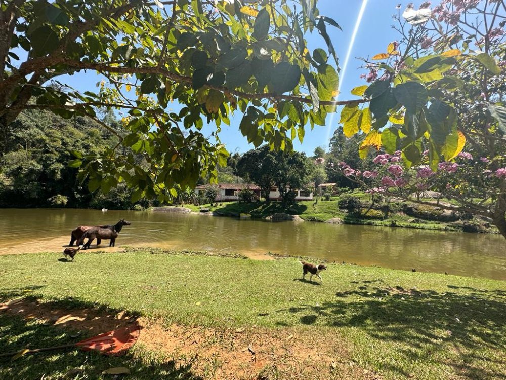 Chcara - Venda - Brotas - Santa Isabel - SP
